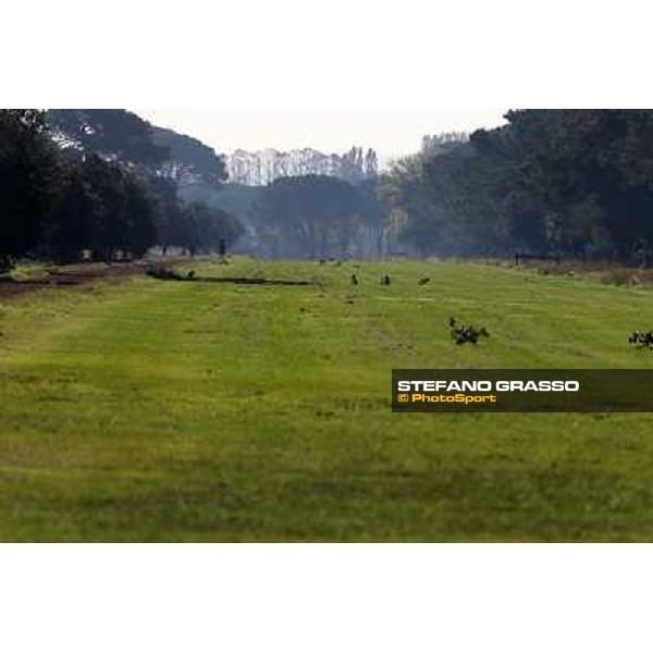 A morning at Endo Botti racing stable Pisa - San Rossore,7th nov.2012 ph.Stefano Grasso