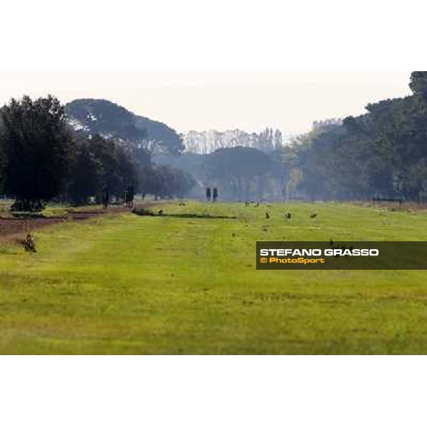 A morning at Endo Botti racing stable Pisa - San Rossore,7th nov.2012 ph.Stefano Grasso