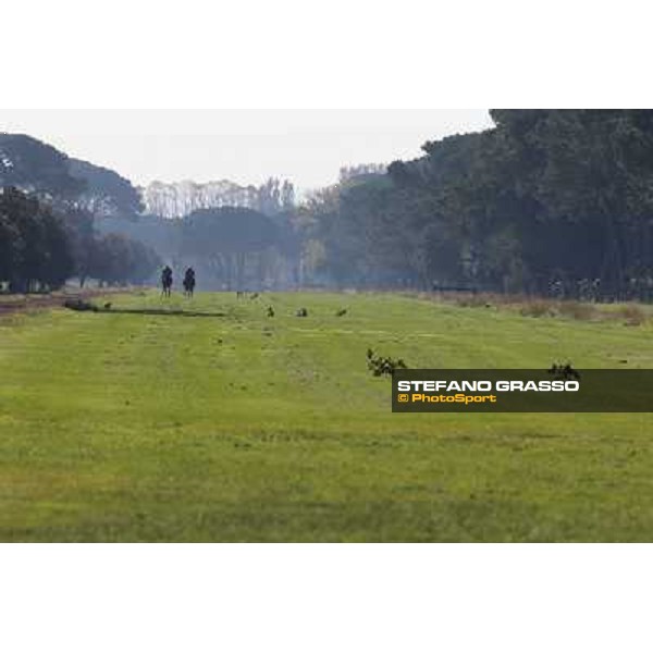 A morning at Endo Botti racing stable Pisa - San Rossore,7th nov.2012 ph.Stefano Grasso