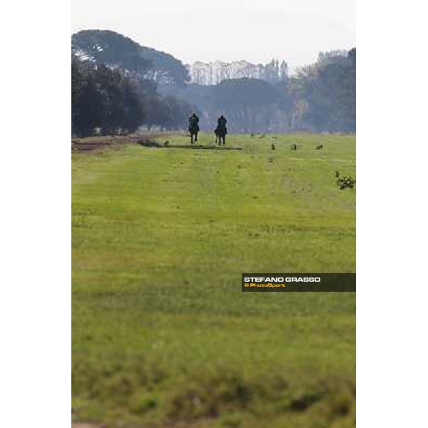A morning at Endo Botti racing stable Pisa - San Rossore,7th nov.2012 ph.Stefano Grasso