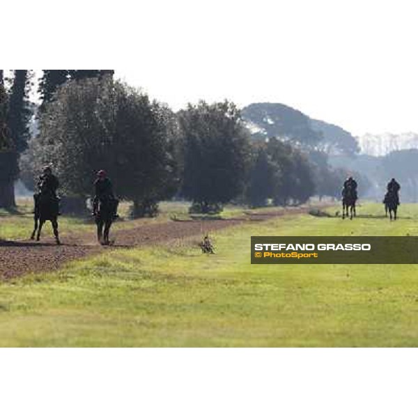 A morning at Endo Botti racing stable Pisa - San Rossore,7th nov.2012 ph.Stefano Grasso
