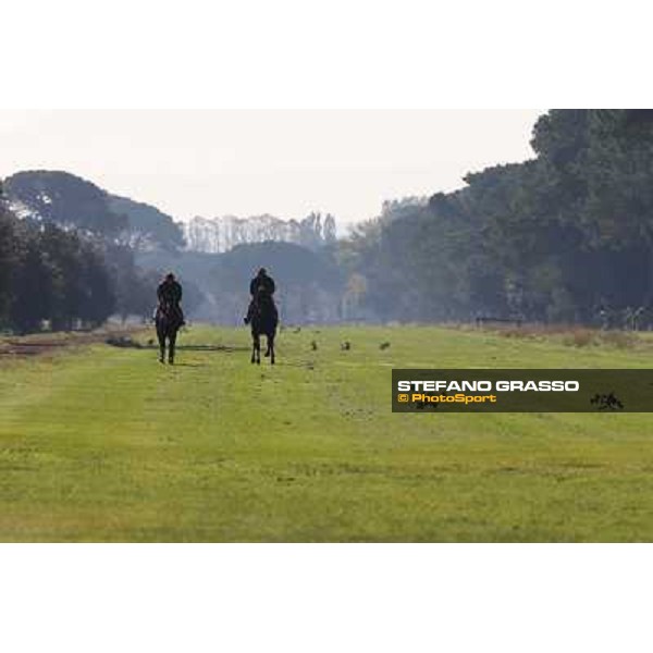A morning at Endo Botti racing stable Pisa - San Rossore,7th nov.2012 ph.Stefano Grasso