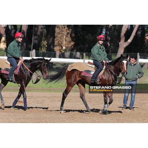 A morning at Endo Botti racing stable Pisa - San Rossore,7th nov.2012 ph.Stefano Grasso