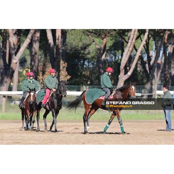 A morning at Endo Botti racing stable Pisa - San Rossore,7th nov.2012 ph.Stefano Grasso