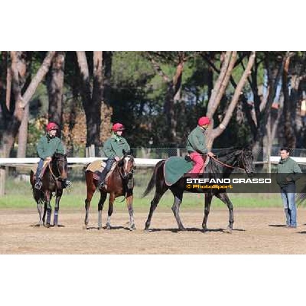 A morning at Endo Botti racing stable Pisa - San Rossore,7th nov.2012 ph.Stefano Grasso