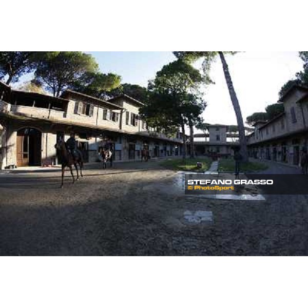 A morning at Endo Botti racing stable Pisa - San Rossore,7th nov.2012 ph.Stefano Grasso