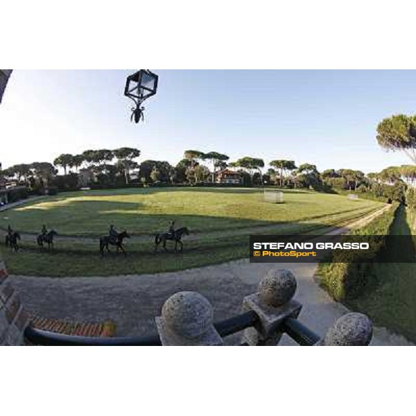 A morning at Endo Botti racing stable Pisa - San Rossore,7th nov.2012 ph.Stefano Grasso