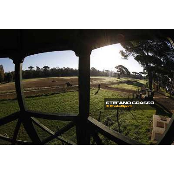 A morning at Endo Botti racing stable Pisa - San Rossore,7th nov.2012 ph.Stefano Grasso