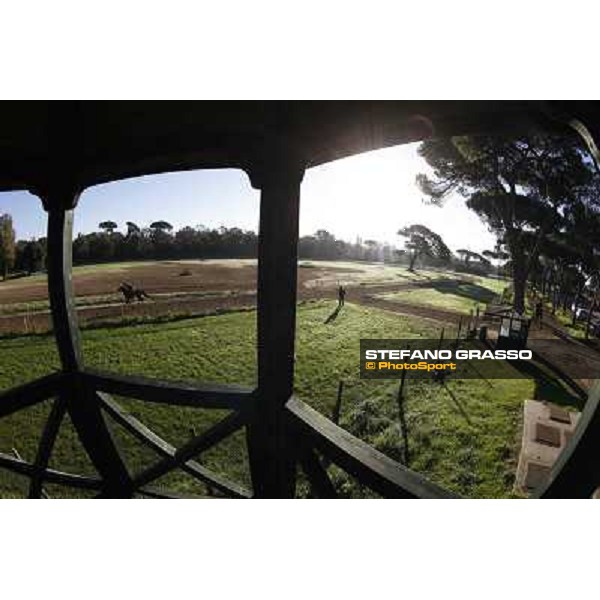 A morning at Endo Botti racing stable Pisa - San Rossore,7th nov.2012 ph.Stefano Grasso