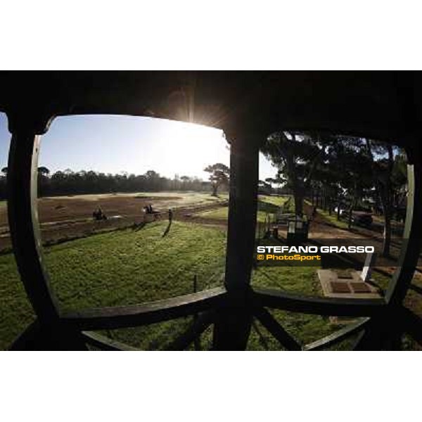 A morning at Endo Botti racing stable Pisa - San Rossore,7th nov.2012 ph.Stefano Grasso