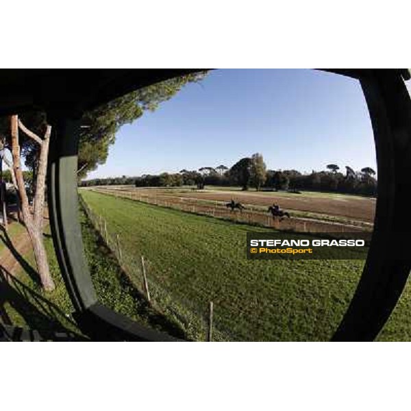 A morning at Endo Botti racing stable Pisa - San Rossore,7th nov.2012 ph.Stefano Grasso