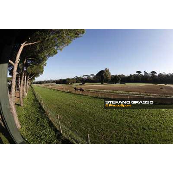 A morning at Endo Botti racing stable Pisa - San Rossore,7th nov.2012 ph.Stefano Grasso