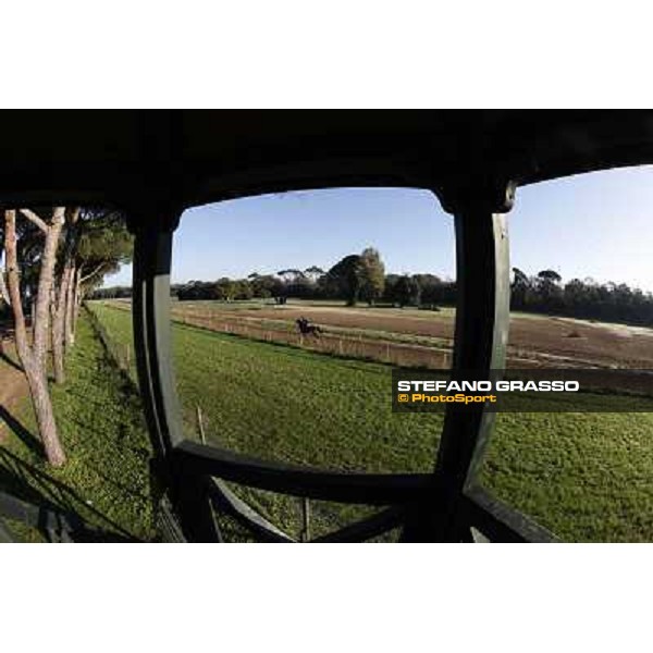 A morning at Endo Botti racing stable Pisa - San Rossore,7th nov.2012 ph.Stefano Grasso