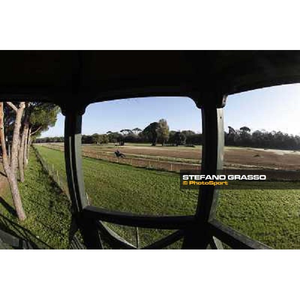 A morning at Endo Botti racing stable Pisa - San Rossore,7th nov.2012 ph.Stefano Grasso