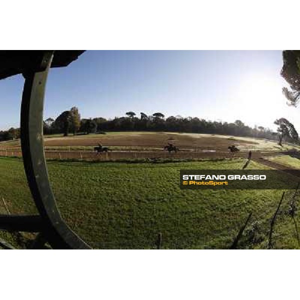 A morning at Endo Botti racing stable Pisa - San Rossore,7th nov.2012 ph.Stefano Grasso