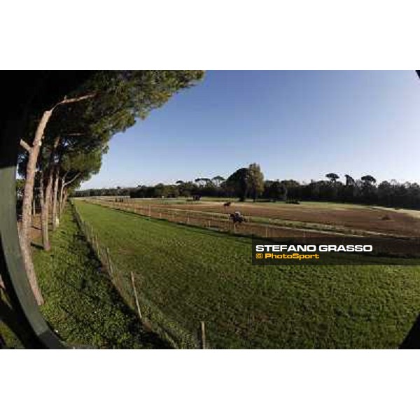 A morning at Endo Botti racing stable Pisa - San Rossore,7th nov.2012 ph.Stefano Grasso