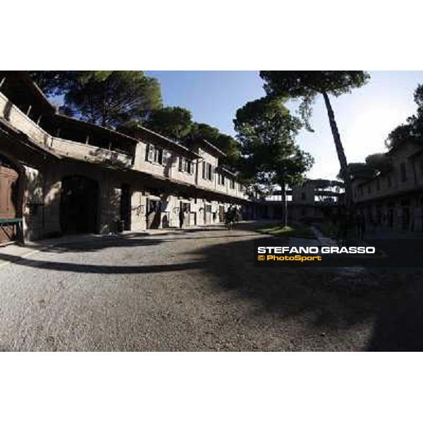 A morning at Endo Botti racing stable Pisa - San Rossore,7th nov.2012 ph.Stefano Grasso