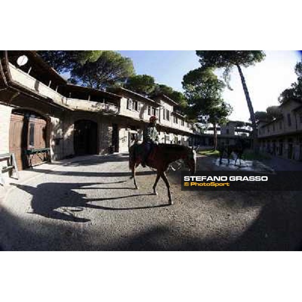A morning at Endo Botti racing stable Pisa - San Rossore,7th nov.2012 ph.Stefano Grasso