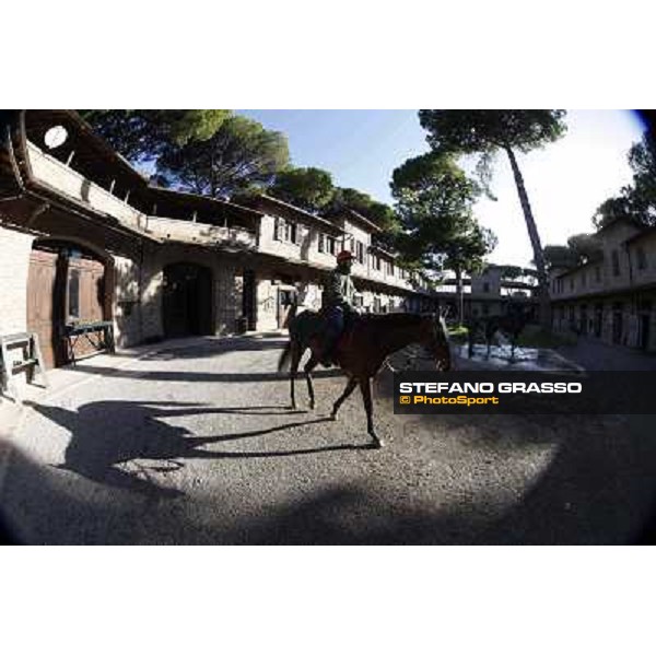 A morning at Endo Botti racing stable Pisa - San Rossore,7th nov.2012 ph.Stefano Grasso