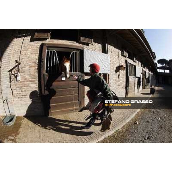 A morning at Endo Botti racing stable Pisa - San Rossore,7th nov.2012 ph.Stefano Grasso