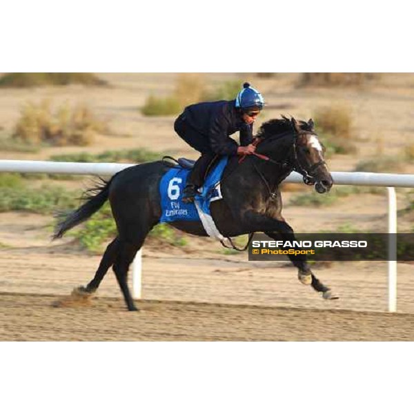 Godolphin Horses in training Kerrin Mc Evoy on Cherry Mix Al Quoz Dubai UAE 23rd march 2005 ph. Stefano Grasso