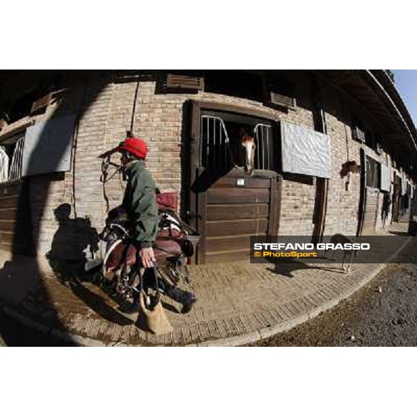 A morning at Endo Botti racing stable Pisa - San Rossore,7th nov.2012 ph.Stefano Grasso