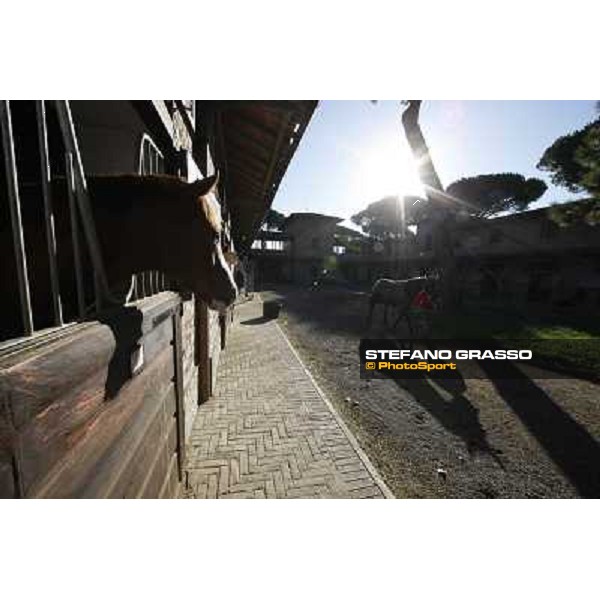 A morning at Endo Botti racing stable Pisa - San Rossore,7th nov.2012 ph.Stefano Grasso
