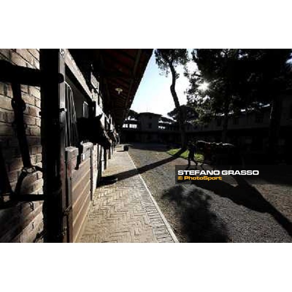 A morning at Endo Botti racing stable Pisa - San Rossore,7th nov.2012 ph.Stefano Grasso