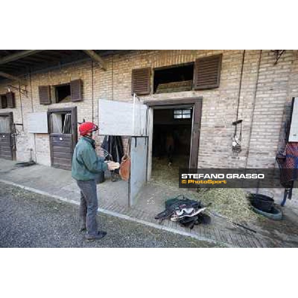 A morning at Endo Botti racing stable Pisa - San Rossore,7th nov.2012 ph.Stefano Grasso