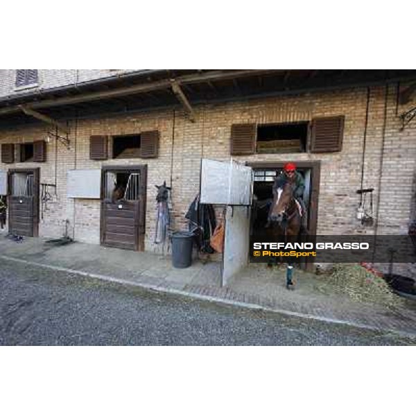 A morning at Endo Botti racing stable Pisa - San Rossore,7th nov.2012 ph.Stefano Grasso