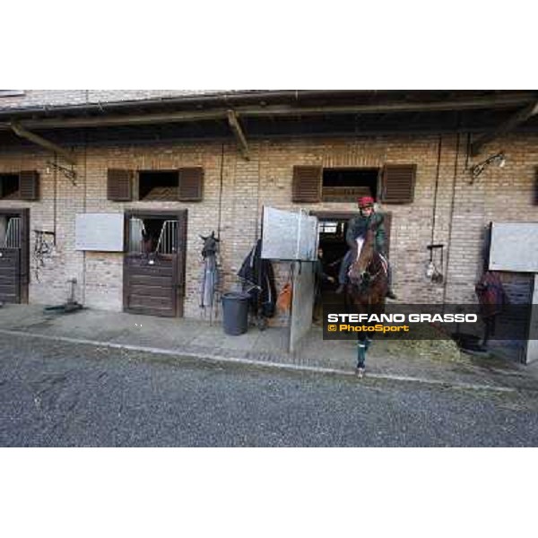A morning at Endo Botti racing stable Pisa - San Rossore,7th nov.2012 ph.Stefano Grasso