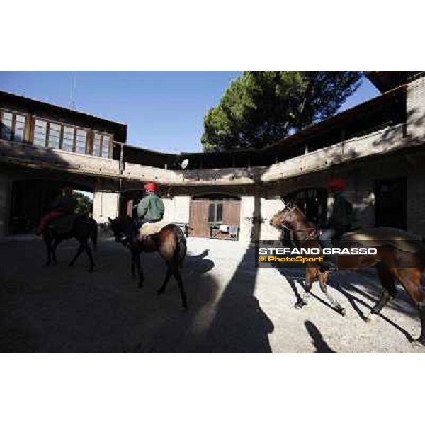 A morning at Endo Botti racing stable Pisa - San Rossore,7th nov.2012 ph.Stefano Grasso