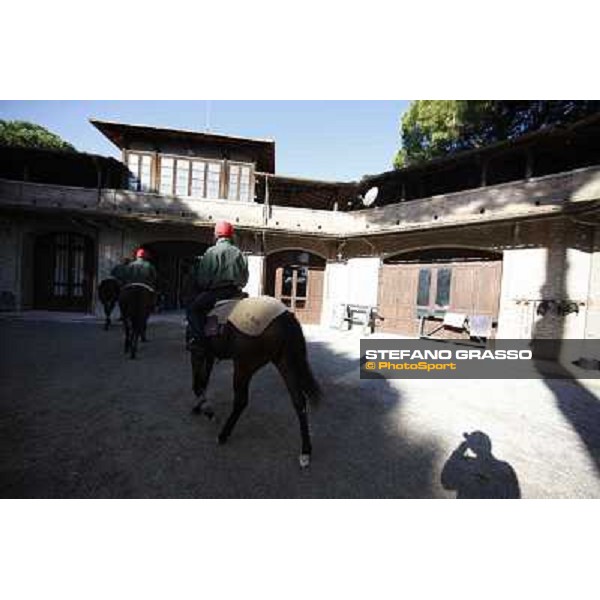 A morning at Endo Botti racing stable Pisa - San Rossore,7th nov.2012 ph.Stefano Grasso