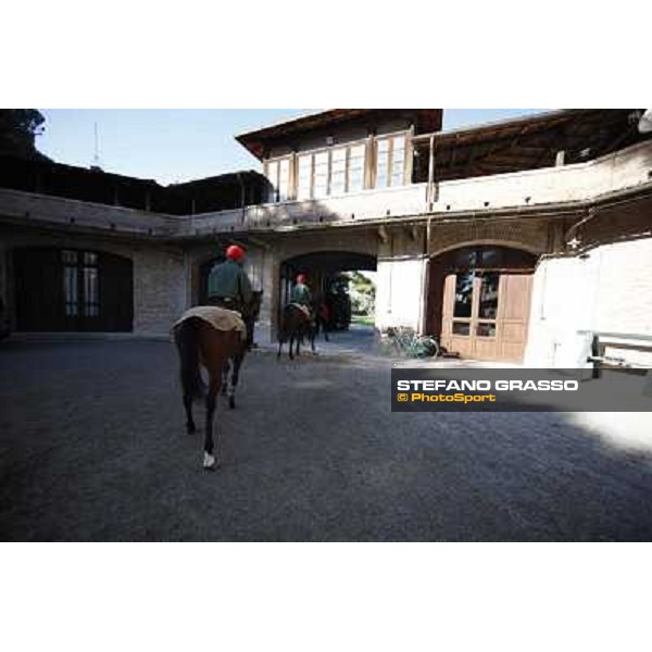 A morning at Endo Botti racing stable Pisa - San Rossore,7th nov.2012 ph.Stefano Grasso