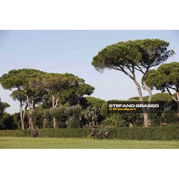 A morning at Endo Botti racing stable Pisa - San Rossore,7th nov.2012 ph.Stefano Grasso