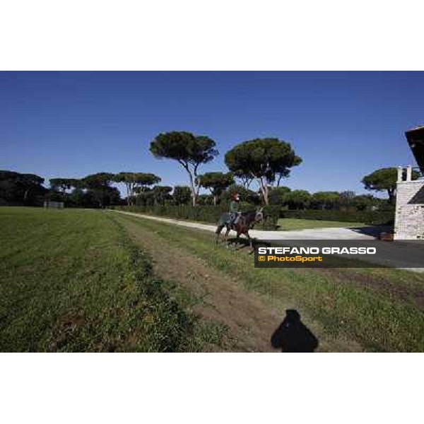 A morning at Endo Botti racing stable Pisa - San Rossore,7th nov.2012 ph.Stefano Grasso