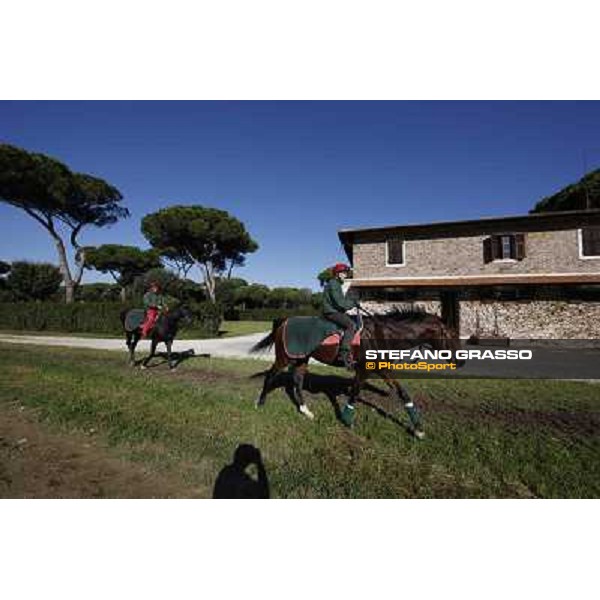 A morning at Endo Botti racing stable Pisa - San Rossore,7th nov.2012 ph.Stefano Grasso