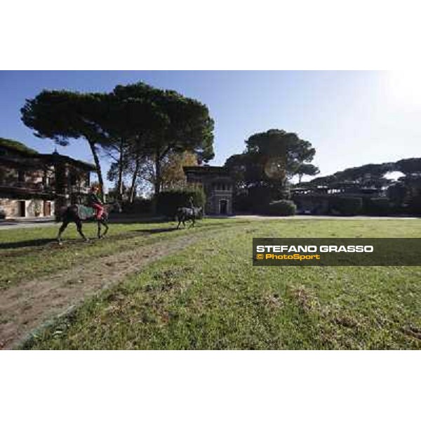 A morning at Endo Botti racing stable Pisa - San Rossore,7th nov.2012 ph.Stefano Grasso
