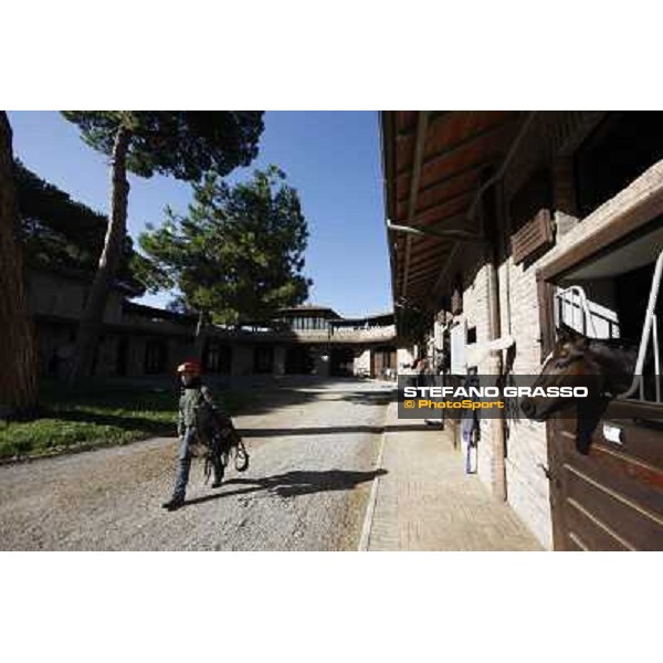 A morning at Endo Botti racing stable Pisa - San Rossore,7th nov.2012 ph.Stefano Grasso