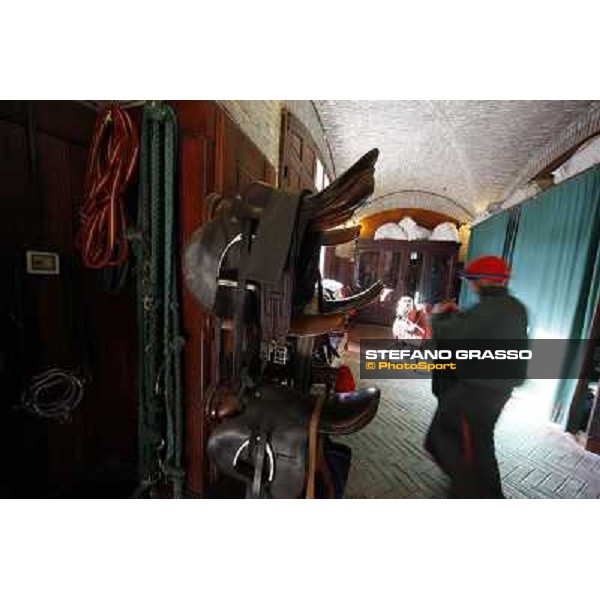 A morning at Endo Botti racing stable Pisa - San Rossore,7th nov.2012 ph.Stefano Grasso
