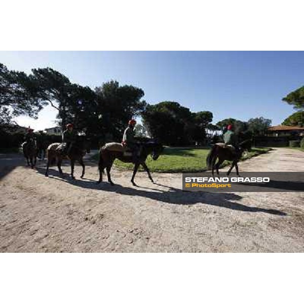 A morning at Endo Botti racing stable Pisa - San Rossore,7th nov.2012 ph.Stefano Grasso