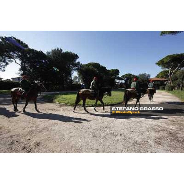 A morning at Endo Botti racing stable Pisa - San Rossore,7th nov.2012 ph.Stefano Grasso