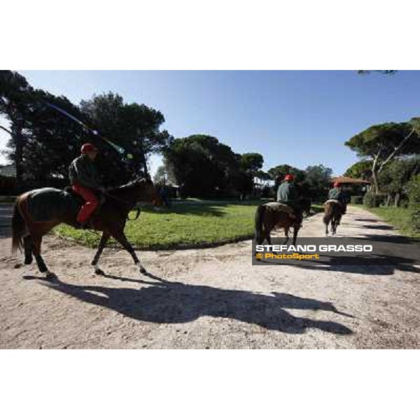 A morning at Endo Botti racing stable Pisa - San Rossore,7th nov.2012 ph.Stefano Grasso