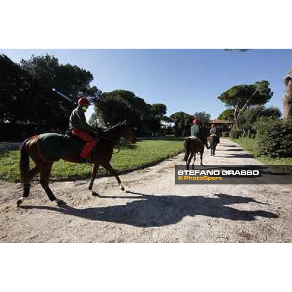 A morning at Endo Botti racing stable Pisa - San Rossore,7th nov.2012 ph.Stefano Grasso