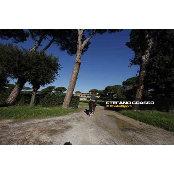 A morning at Endo Botti racing stable Pisa - San Rossore,7th nov.2012 ph.Stefano Grasso