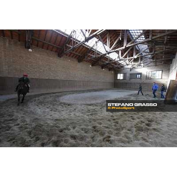 A morning at Endo Botti racing stable Pisa - San Rossore,7th nov.2012 ph.Stefano Grasso