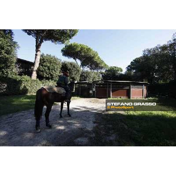 A morning at Endo Botti racing stable Pisa - San Rossore,7th nov.2012 ph.Stefano Grasso