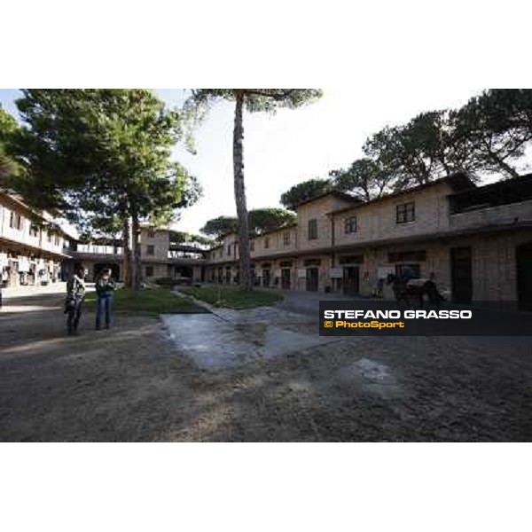 A morning at Endo Botti racing stable Pisa - San Rossore,7th nov.2012 ph.Stefano Grasso