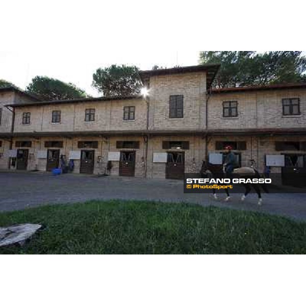 A morning at Endo Botti racing stable Pisa - San Rossore,7th nov.2012 ph.Stefano Grasso