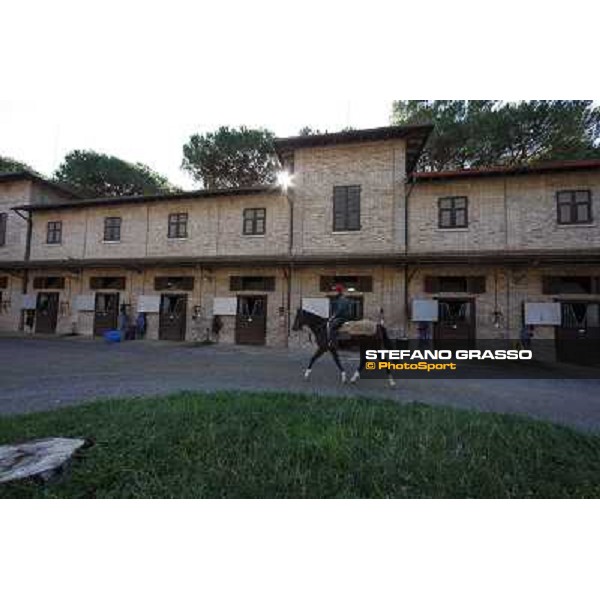 A morning at Endo Botti racing stable Pisa - San Rossore,7th nov.2012 ph.Stefano Grasso